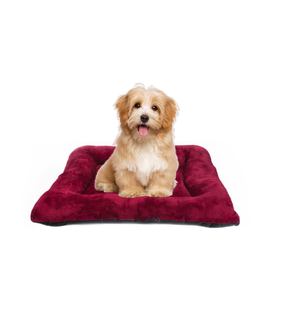 Colchoneta Rectangular de  Felpa Rojo